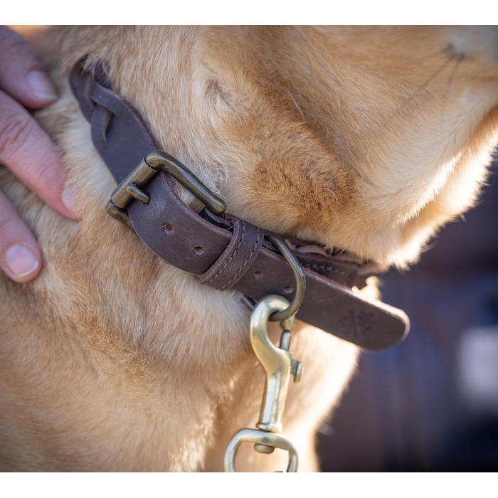 Сплетене шкіряне ошийник для собак – Міцний ручної роботи з преміум-шкіри буйвола Clarissa (M (36.0-45.0cm))