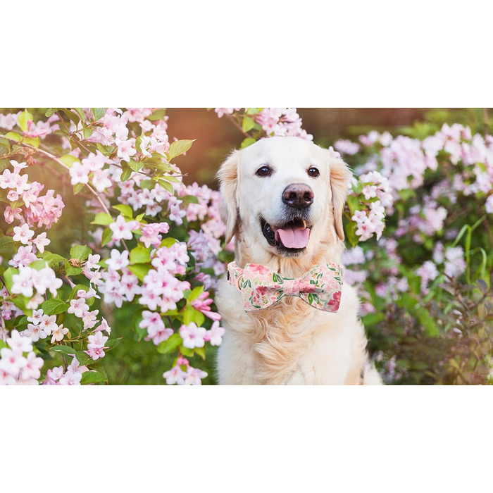 Нашийник для собак Lionet Paws з метеликом, регульований, знімний, для цуценят, маленьких, середніх та великих собак та котів, подарунок, 40-60 см, рожевий, квітка