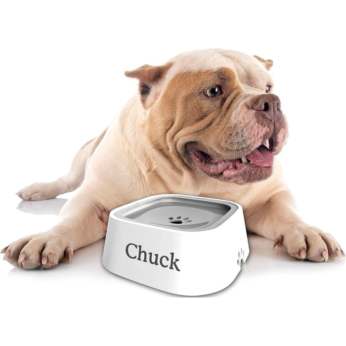 Персоналізований миска для собак та котів з іменем, не протікає, не ковзає, для подорожей, з гравіюванням