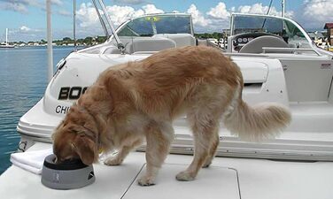 Road Refresher Large Green - освіжувач повітря для тварин Prestige Pet Products (1 шт.)