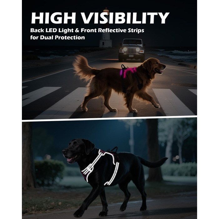 Світловідбиваючий нашийник для собак Joytale з LED, для середніх собак, без натягування, з ручкою, регульований, для нічних прогулянок, зелений, розмір M