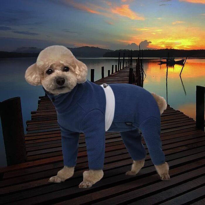 Теплий одяг для собак: куртка, жилет, піжама з флісу для маленьких та середніх собак (синій)