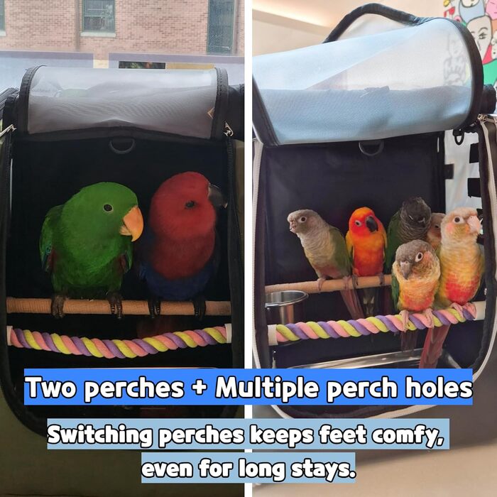 Переносна сумка-рюкзак для птахів Birds Day з кліткою для папуг, 2 жердочками та годівницею, піддон з нержавіючої сталі (темно-оливковий зелений)