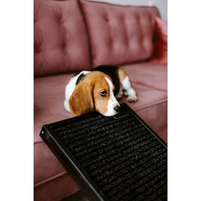 Рампа для собак і котів, пандус для собак, регульована авторампа з дерева, чорного кольору