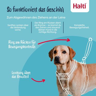 Нашийник HALTI No Pull для собак - запобігає потягування, м'який, світловідбиваючий, регульований (Dunkelorange, M)