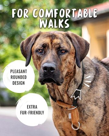 Нашийник для собак Rudelkönig Emma - Елегантний нашийник-стоп для собак з шкіри та нейлону - ø 12 мм - Зручний навчальний нашийник для великих собак (6, Чорний)