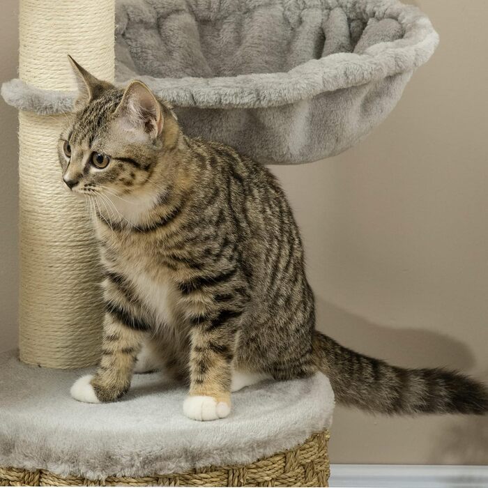 Когтеточка PawHut 115,5 см з котячим будиночком, ігровий комплекс з гамаками, іграшкою та джутовими стовпами, світло-сіра для котів