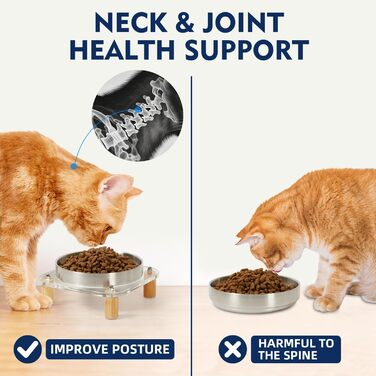 Підвищені миски для котів DoogCat – 2 шт. з акрилу, нержавіюча сталь, 14 см, для дому, зручне годування, для котів з чутливими вусами (сріблясті)