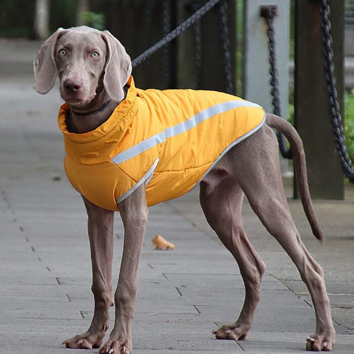 Водонепроникний зимовий теплий одяг для собак FeimaX: куртка з флісовою підкладкою для малих, середніх та великих собак, 5XL