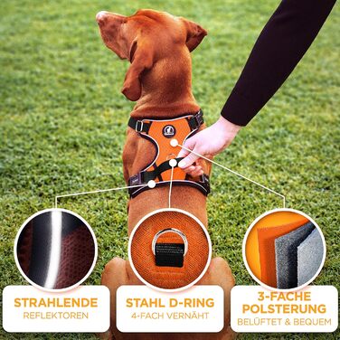 Шлейка для собак - світловідбиваюча, з м'якою підкладкою, для собак різних розмірів, помаранчевого кольору