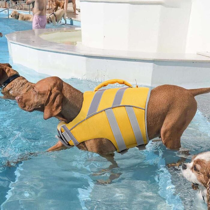Жилет для собак Kuoser, безпечний та якісний, для малих, середніх та великих порід, жовтий