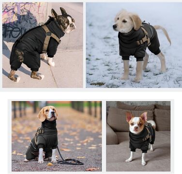 Зимовий теплий одяг для собак S, куртка для маленьких собак, теплий костюм для чихуахуа та бульдога (чорний, S)
