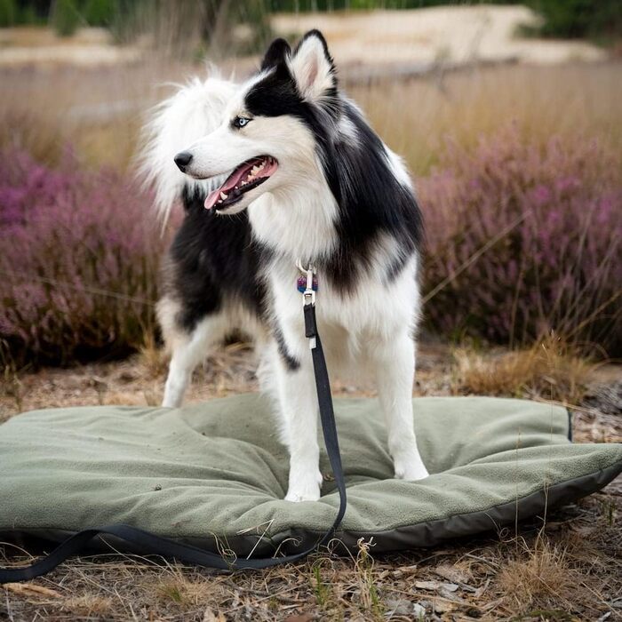 Килимок для собак District 70 Lodge, Темно-сірий, Розмір L