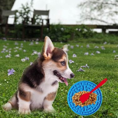 Лежанка-лежак для собак з силікону з присосками, антистрес, навчання, відволікання, без запаху