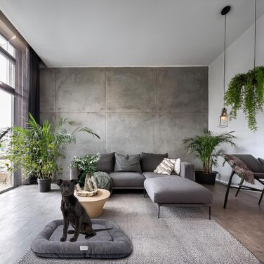 Водонепроникне лежанка для собак, лежанка-матрац з Codura | Для маленьких собак | Сірий колір, розмір L (95 x 75 см)