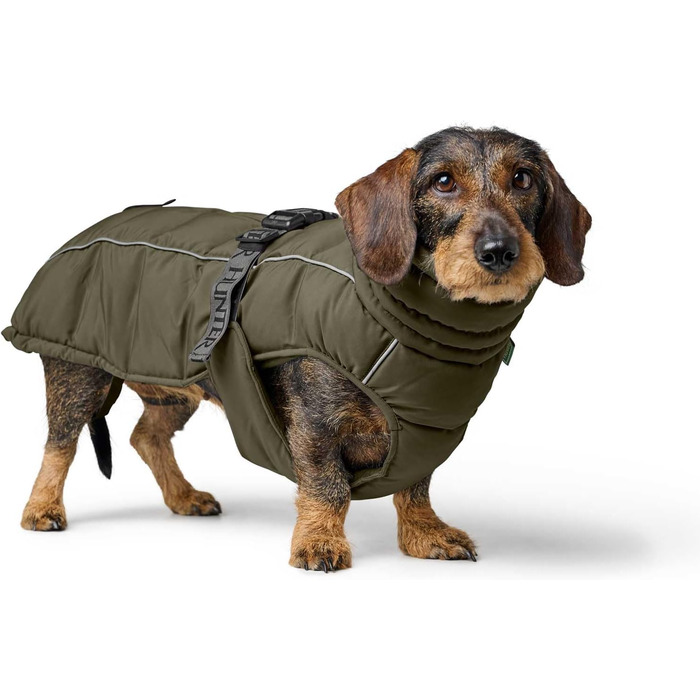 Накидка для собак HUNTER Paxson для такс, оливковий колір, водонепроникна та тепла, з підкладкою, для захисту від негоди, світловідбиваюча, для маленьких собак з довгим тулубом, розмір (40)