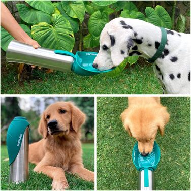 Пляшка для води для собак PupFlask 800/1200 мл, нержавіюча сталь, портативна поїлка для подорожей, герметична, для всіх порід