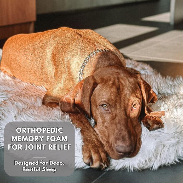Ортопедичне ліжко для собак Luxus з штучного хутра, Memory Foam, для малих, середніх, великих та XL собак, м'який килимок для цуценят з водонепроникним та пральним чохлом, колір - кістковий