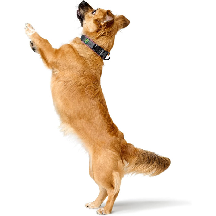 Шолом Hunter Hasband Madon рожевий, сітка, міцний нейлон, гіпоалергенний, регулювання, адресна панель, розмір M