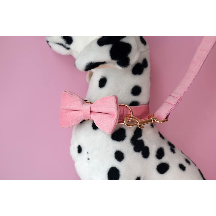 Іменний нашийник для собак з металевою застібкою, індивідуальні адресники для тварин з гравіюванням імені, телефону та адреси (Стиль А)