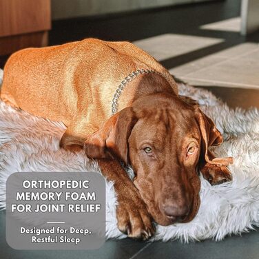 Ортопедичне ліжко для собак Luxus з штучного хутра, Memory Foam, для малих, середніх, великих та XL собак, м'який килимок для цуценят з водонепроникним та пральним чохлом, колір - кістковий