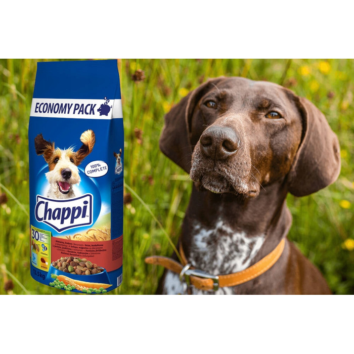 Сухий корм для собак Chappi з яловичиною, птицею та овочами, 13,5 кг
