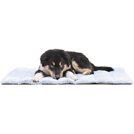 колір: сірий