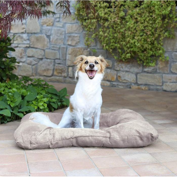 Подушка для собак та котів Gepolstert, 77x60 см, поліестер, кремовий колір