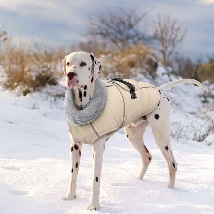 Теплий зимовий пуховик для собак Lelepet, водонепроникний, з флісовою підкладкою, світловідбиваючими елементами, отвором для шлейки, великий розмір XL, бежевий