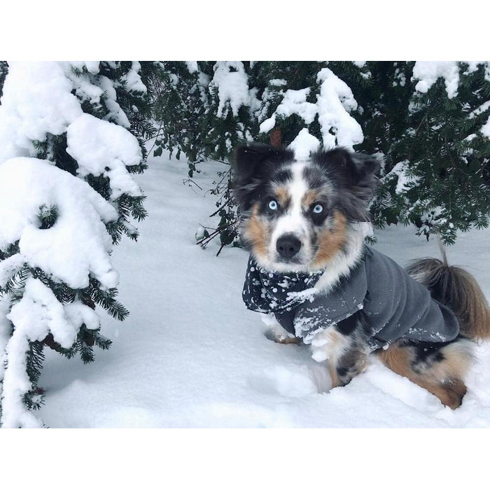 Жилет для собак Gooby з м'якого флісу, сорочка-худі, розмір Small, сірий колір