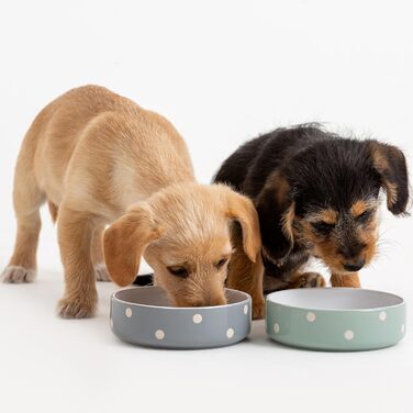 Миска для собак Mason Cash, колір у вибірці, 20 см, кремового кольору