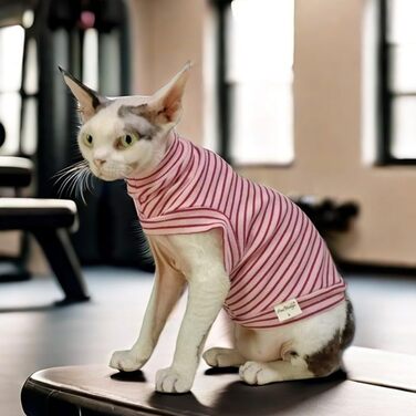 Світшот для безшерстних котів, бавовна, теплий, еластичний, рожевий, розмір S