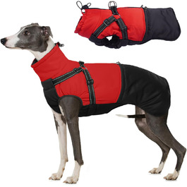 колір: гниль