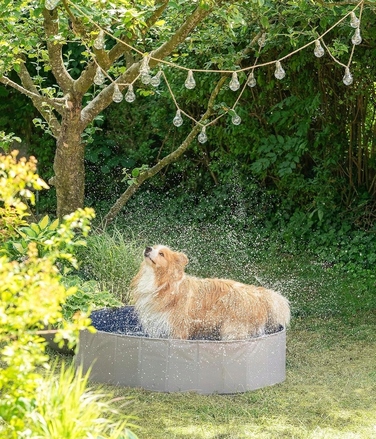 Складаний басейн для собак, сірий, 160x30 см, 600 л