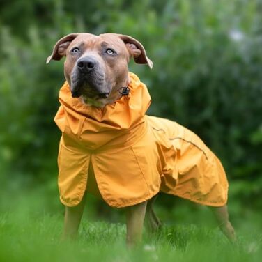 Дощовик для собак Spark Paws, водонепроникна та вітрозахисна куртка, дихаюча, з повним захистом, для малих, середніх і великих порід, світловідбивна, гірчично-жовта, розмір 2XL