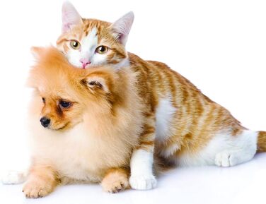 Щітка для собак Croci Fellbürste для короткої шерсті до 9 кг, колір 2