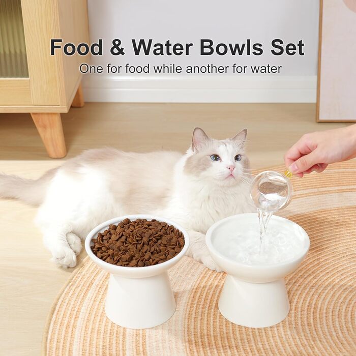 Набір мисок для котів YauYik (2 шт.) – керамічні миски для корму та води, підняті, широкі, білі