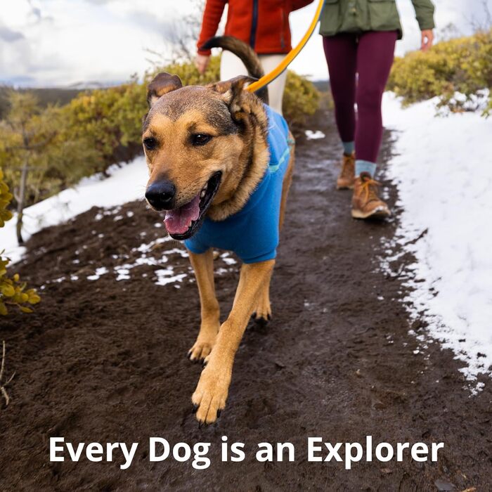 Повідок-амортизатор Ruffwear Roamer для бігу, велоспорту та прогулянок, універсальний, зелений, 1,7-2,1 м