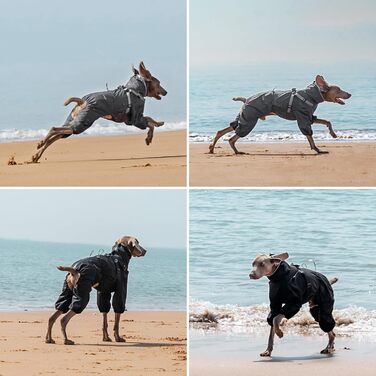 Дощовик для собак PAWBOSE, водонепроникний, для маленьких, середніх та великих собак, з інтегрованим кріпленням для шлейки, сірий, XL