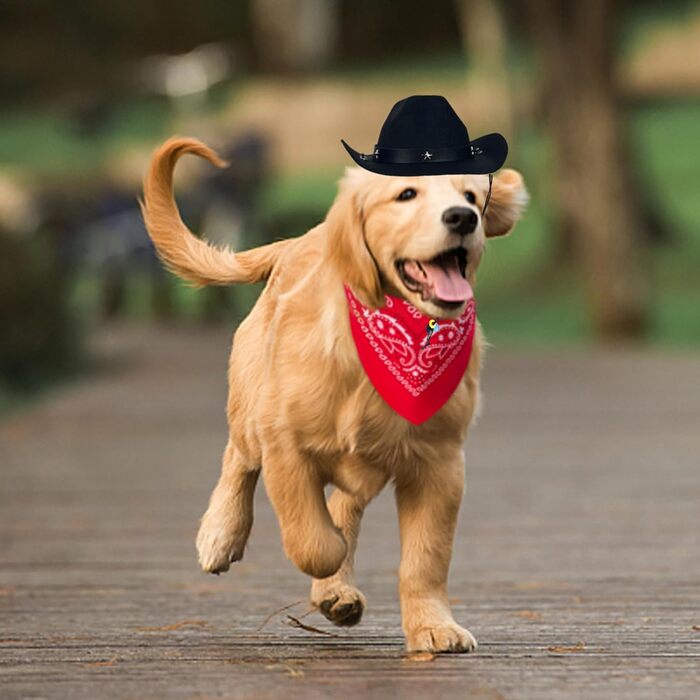 Ковбойський костюм для тварин: капелюх та бандана. Вечірковий аксесуар для собак та котів. Чорний комплект для святкування дня народження в мексиканському стилі.