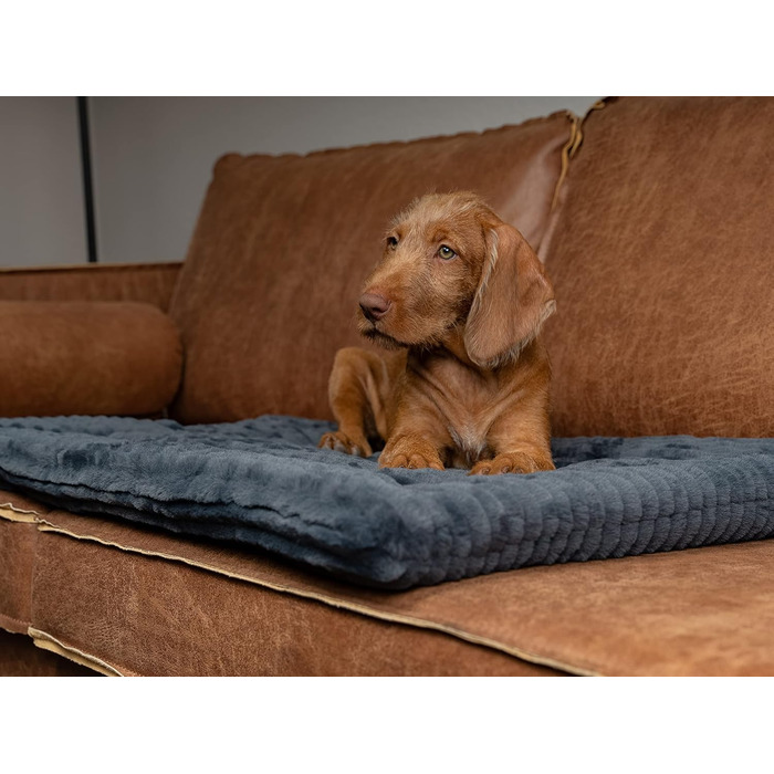 TrendPet Harmony: М'яка підстилка для собак та котів, 50x35 см, антрацит