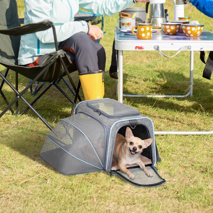 Транспортна сумка для кота та собаки Petsfit, розширювана переноска з плечовим ременем, сумка-переноска для собак та котів, авіапереноска, оксфордська тканина, M, Зелений/Односторонній зелений (Сірий, M/Односторонній)