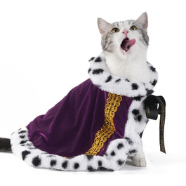 колір: індиго