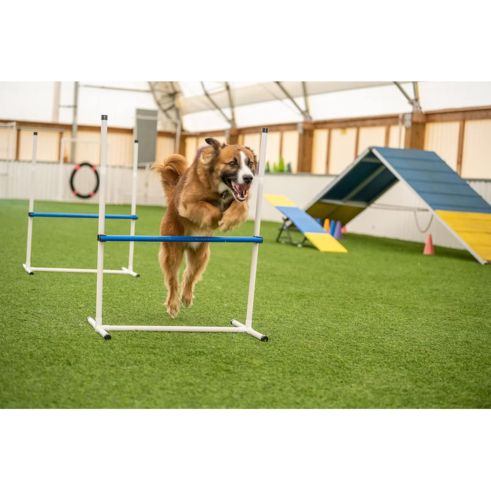 Набір для аджиліті для собак Better Sporting Dogs Deluxe: 7 елементів | Стрибки, тунелі, weave-стійки, бокс для відпочинку