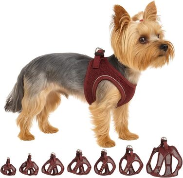 Шлейка для собак середнього розміру Flamingo Step&Go Bento (фіолетовий, XS)