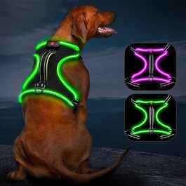 Сяючий нашийник для собак з LED-підсвіткою, перезаряджуваний, для малих, середніх і великих порід