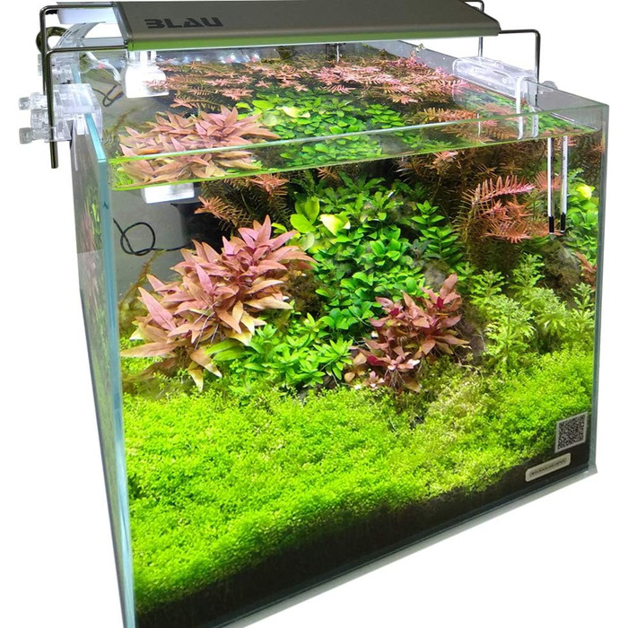 Акваріум Blau Aquaristic Aquascaping Cube 42 л, 35x35x35 см, скляний куб для акваскейпінгу