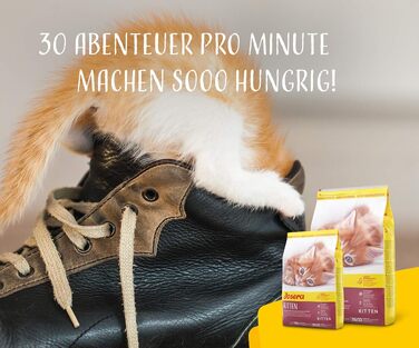 Сухий корм для кошенят JOSERA Kitten з лососем та птицею, 10 кг
