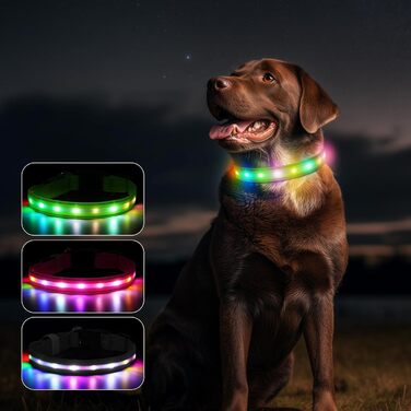 Світлодіодна нашийник для собак Feycig з USB-зарядкою - водонепроникний, регульований, 3 режими, для малих, середніх та великих собак (світло-зелений, L(48-60см))