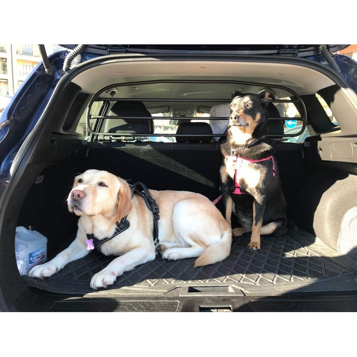 Сітка-перегородка ERGOTECH для Renault Kadjar (RDA65HBG-S) - захист для собак та багажу